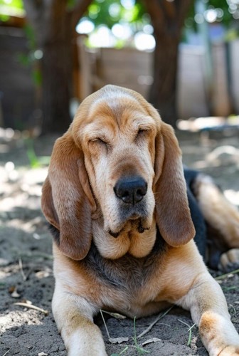 09    The Midday Rest cover art