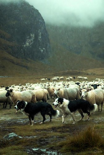 11 - The Storm (Alternative mix) cover art