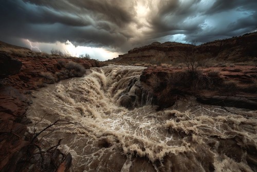 risen with the flood cover art